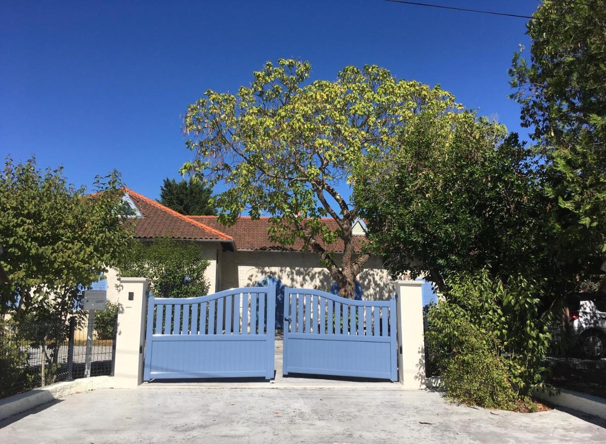 Chambres D'Hote Le Cedre Bleu Saint-Jean  Εξωτερικό φωτογραφία